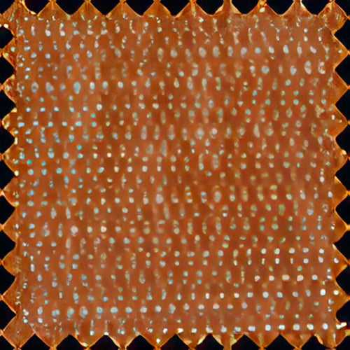 Tissus d’Exception €1.50 - Terre de Maître